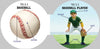 Let's Play Baseball by Nancy Hall: Board Books