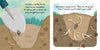 Nature Stories: Little Sunflower by IglooBooks: Board Booksglish