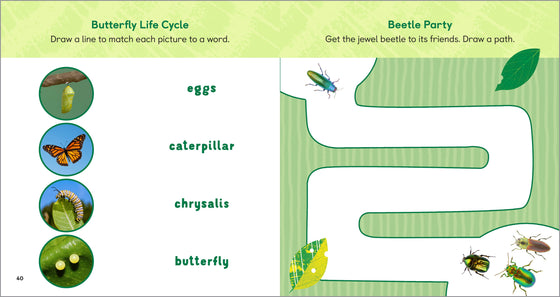 Backyard Bug Book for Kids