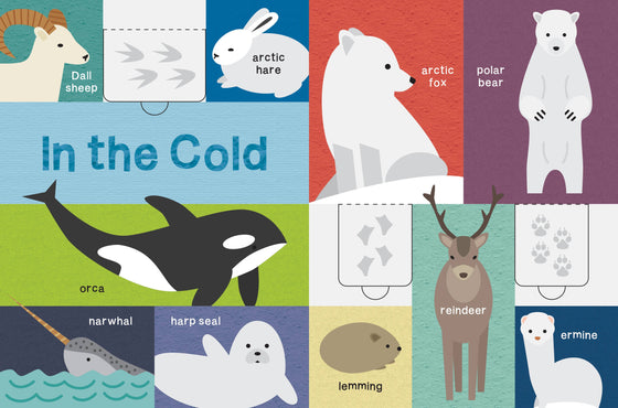 My First Lift-the-Flap Animal Book