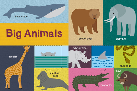 My First Lift-the-Flap Animal Book