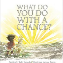  What Do You Do with A Chance Book