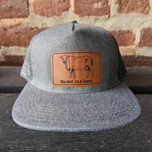  "Raised in a barn Cow" Mesh Back Trucker Hat- Charcoal Grey