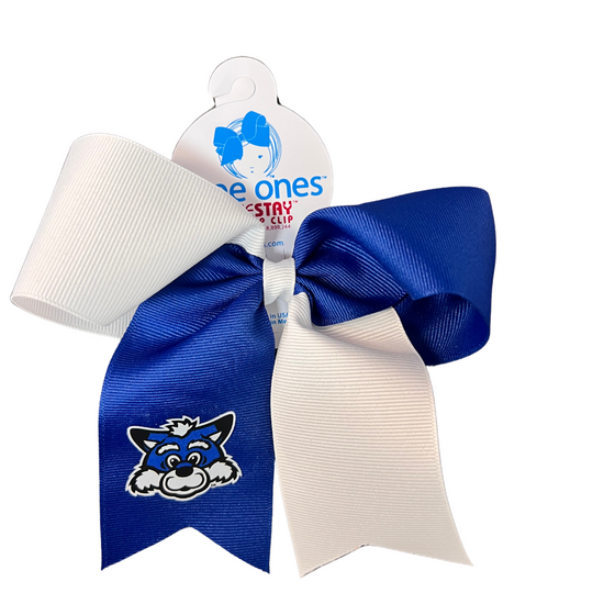 Sycamore Sam Two Tone Cheer Bow