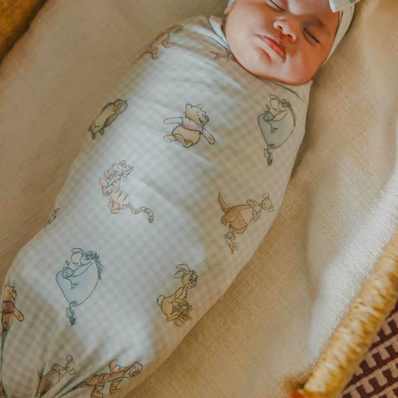 Knit Swaddle Blanket- Winnie the Pooh & Friends