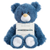 Big Brother Bear & Bracelet Set