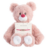 Big Sister Bear & Bracelet Set