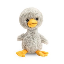  Finding Muchness Duckling Character