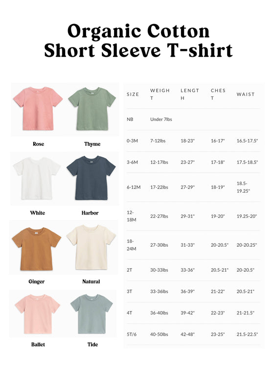 Big Sister Organic Cotton Baby And Kids Tee: Ballet