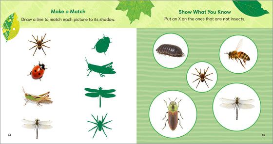 Backyard Bug Book for Kids