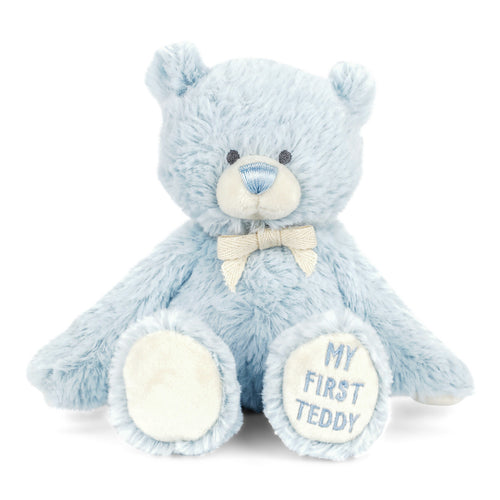 Gender Reveal Teddy Bear- Boy